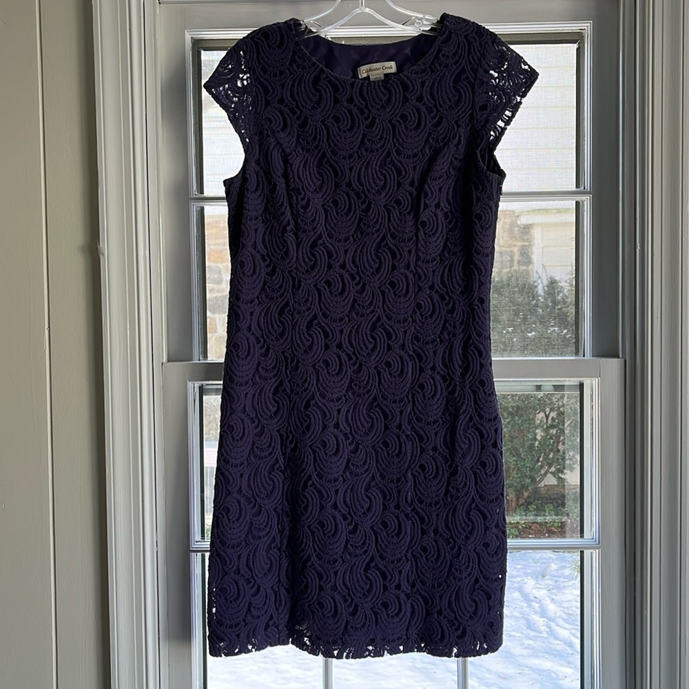 COLDWATER CREEK SIZE 10 SS LACE PURPLE DRESS